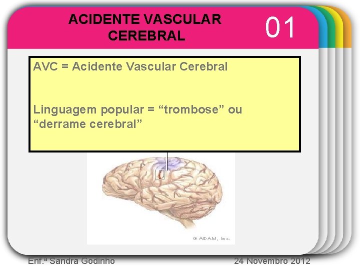 01 ACIDENTE VASCULAR CEREBRAL WINTER AVC = Acidente Vascular Cerebral Template Linguagem popular =