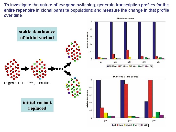 To investigate the nature of var gene switching, generate transcription profiles for the entire