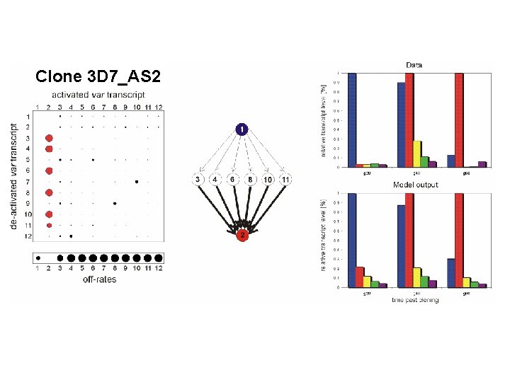 Clone 3 D 7_AS 2 