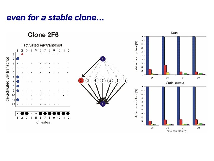 even for a stable clone… 