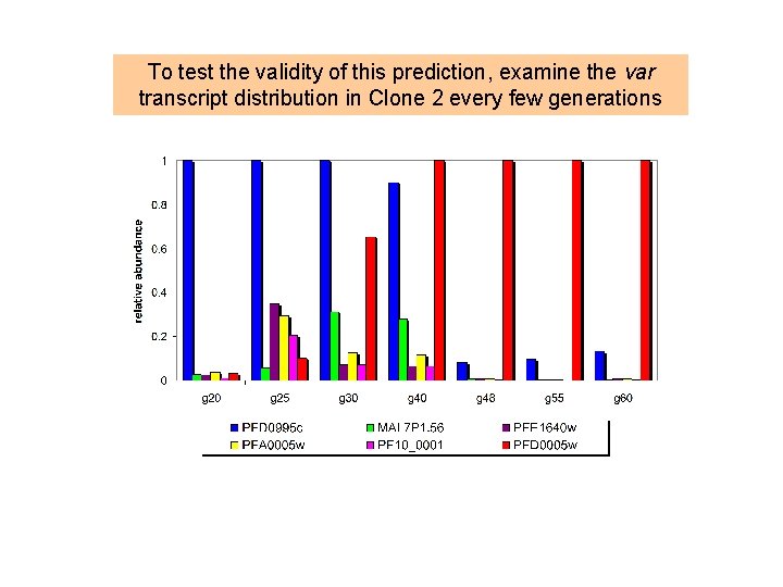 To test the validity of this prediction, examine the var transcript distribution in Clone