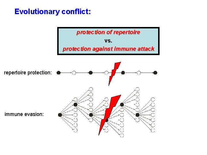 Evolutionary conflict: protection of repertoire vs. protection against immune attack repertoire protection: immune evasion: