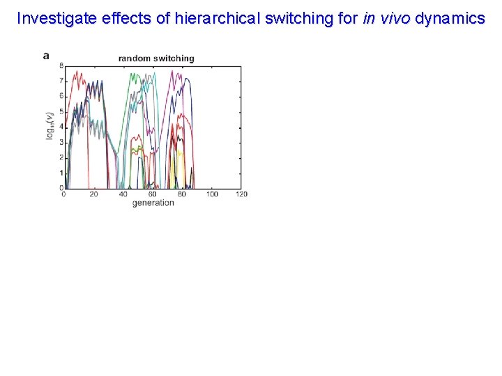 Investigate effects of hierarchical switching for in vivo dynamics 