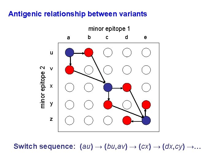 Antigenic relationship between variants minor epitope 1 a b c d e minor epitope