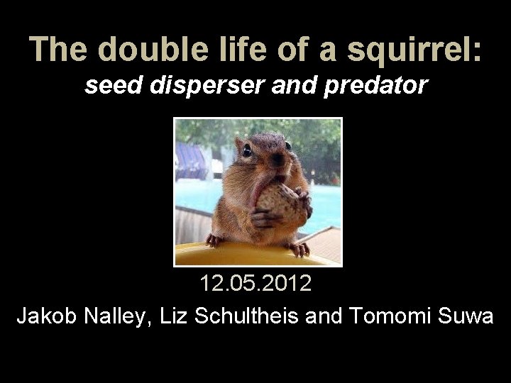 The double life of a squirrel: seed disperser and predator 12. 05. 2012 Jakob