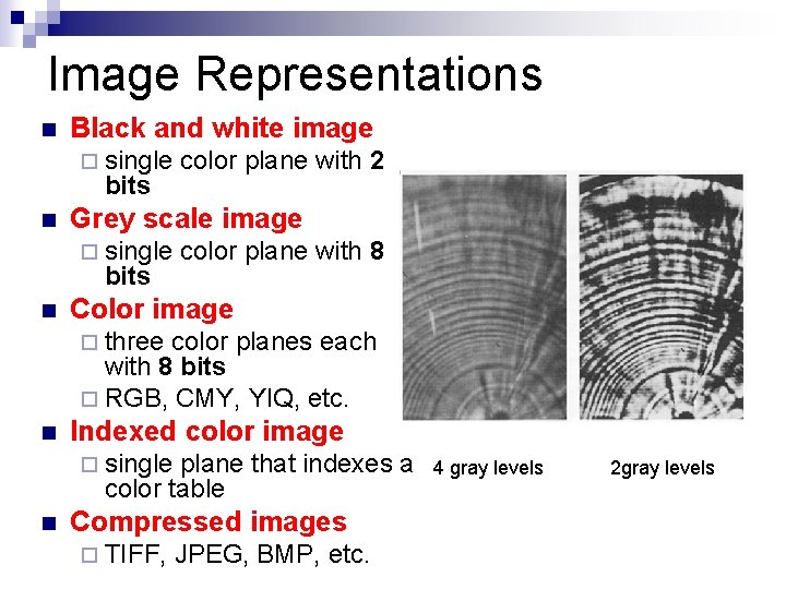 Image Representations n Black and white image ¨ single bits n Grey scale image