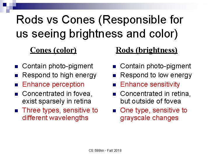 Rods vs Cones (Responsible for us seeing brightness and color) Cones (color) n n