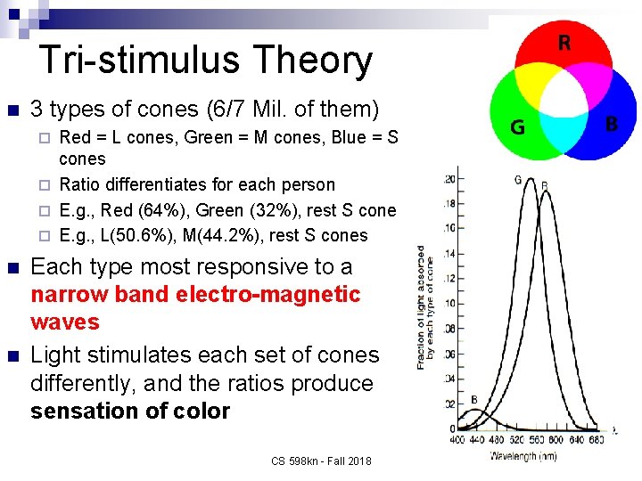 Tri-stimulus Theory n 3 types of cones (6/7 Mil. of them) Red = L