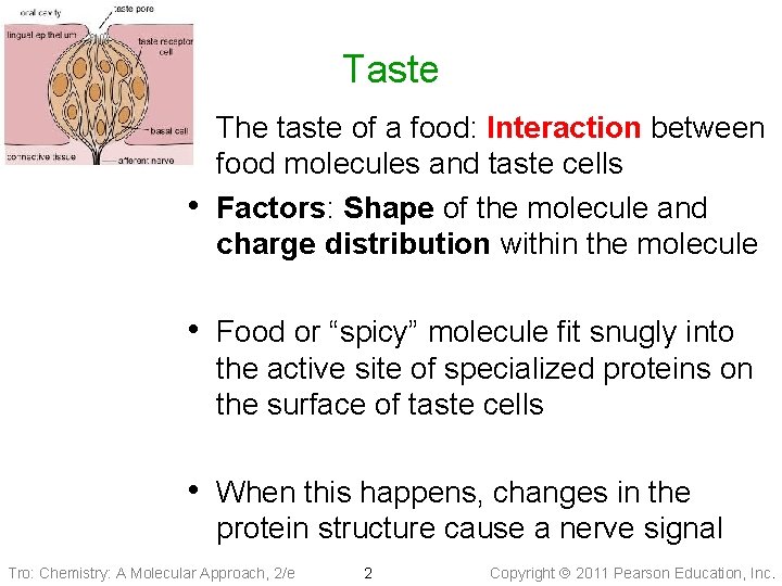 Taste • The taste of a food: Interaction between • food molecules and taste