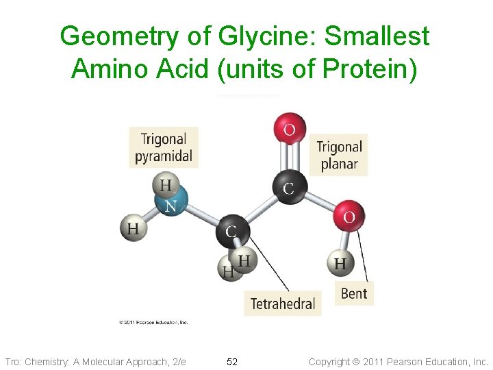 Geometry of Glycine: Smallest Amino Acid (units of Protein) Tro: Chemistry: A Molecular Approach,