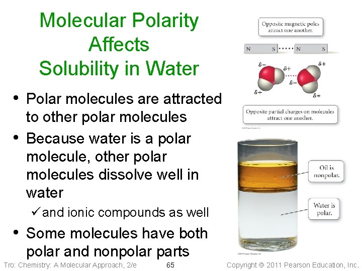 Molecular Polarity Affects Solubility in Water • Polar molecules are attracted • to other