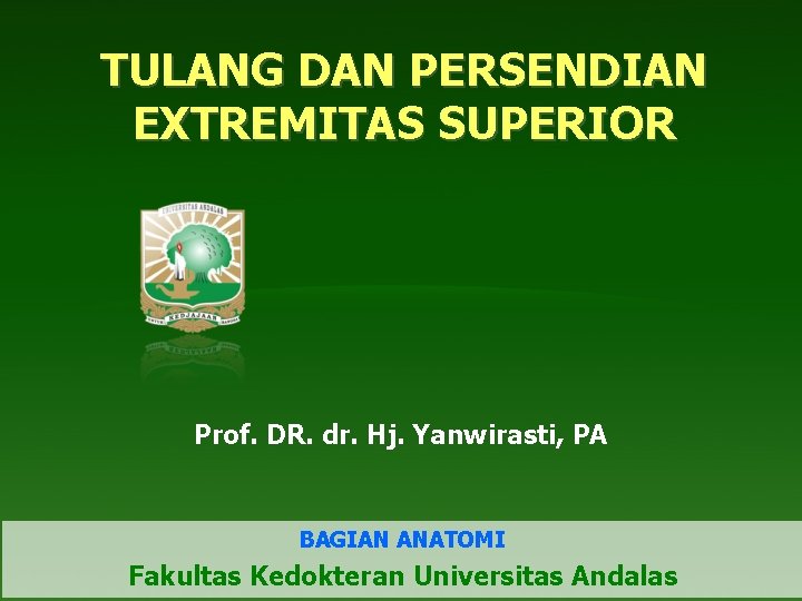 TULANG DAN PERSENDIAN EXTREMITAS SUPERIOR Prof. DR. dr. Hj. Yanwirasti, PA BAGIAN ANATOMI Fakultas