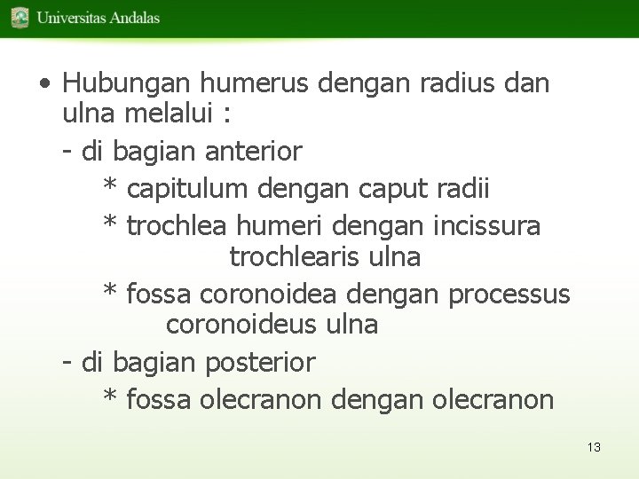  • Hubungan humerus dengan radius dan ulna melalui : - di bagian anterior