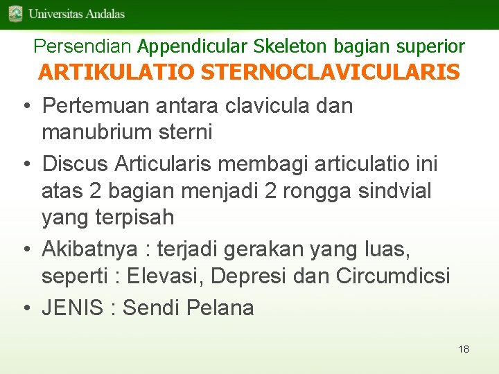 Persendian Appendicular Skeleton bagian superior ARTIKULATIO STERNOCLAVICULARIS • Pertemuan antara clavicula dan manubrium sterni