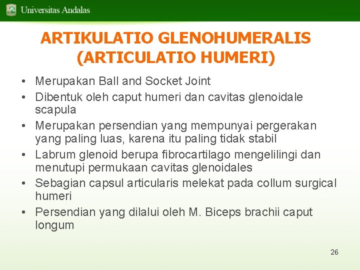 ARTIKULATIO GLENOHUMERALIS (ARTICULATIO HUMERI) • Merupakan Ball and Socket Joint • Dibentuk oleh caput