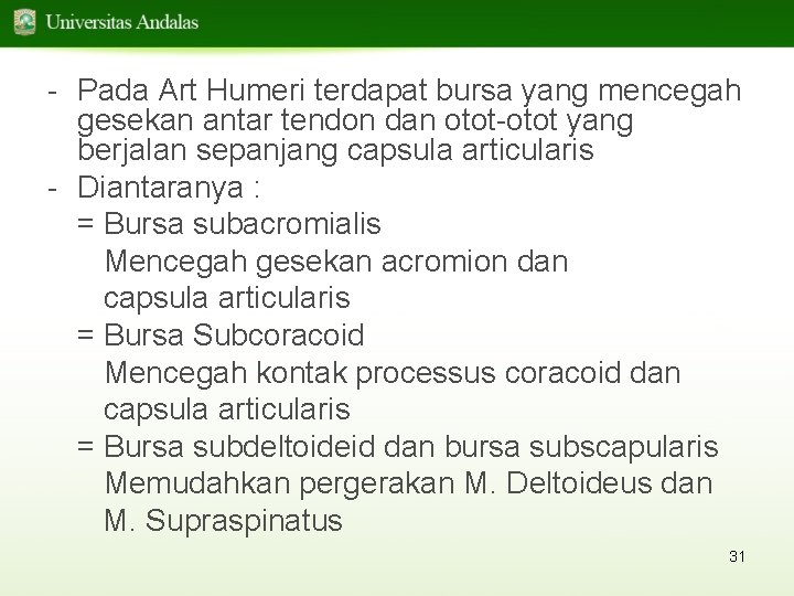 - Pada Art Humeri terdapat bursa yang mencegah gesekan antar tendon dan otot-otot yang