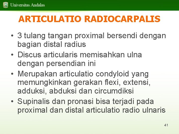 ARTICULATIO RADIOCARPALIS • 3 tulang tangan proximal bersendi dengan bagian distal radius • Discus