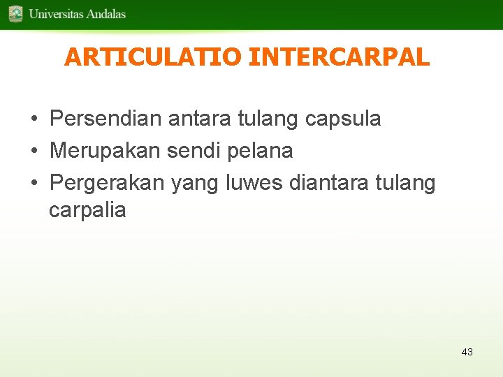 ARTICULATIO INTERCARPAL • Persendian antara tulang capsula • Merupakan sendi pelana • Pergerakan yang