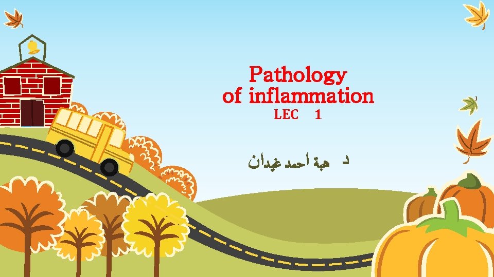 Pathology of inflammation LEC 1 ﺩ ﻫﺒﺔ ﺍﺣﻤﺪ ﻏﻴﺪﺍﻥ 