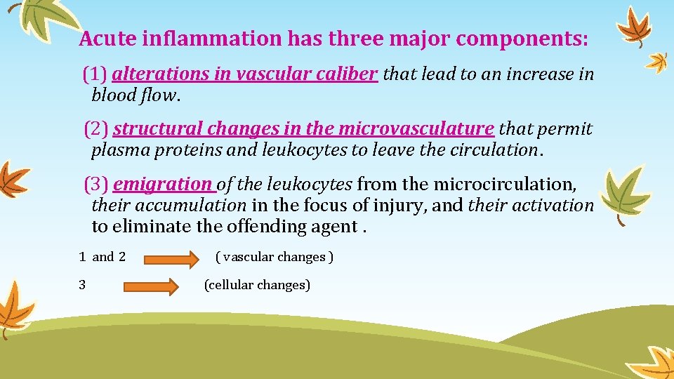 Acute inflammation has three major components: (1) alterations in vascular caliber that lead to