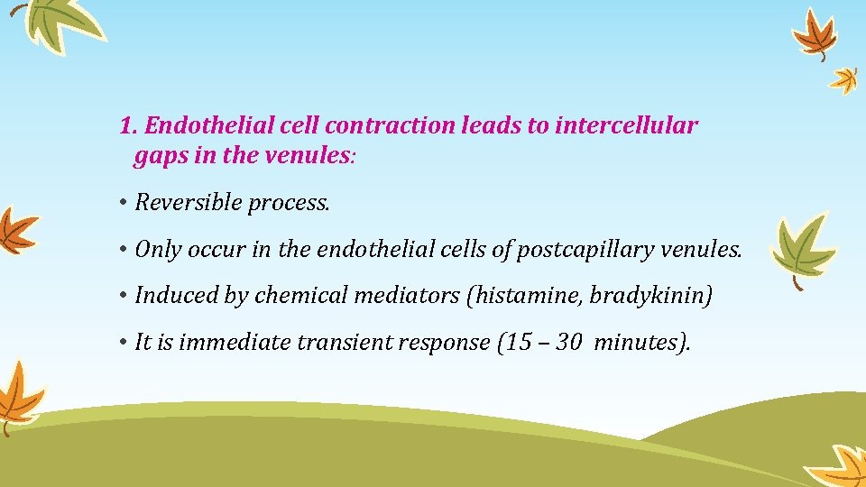 1. Endothelial cell contraction leads to intercellular gaps in the venules: • Reversible process.