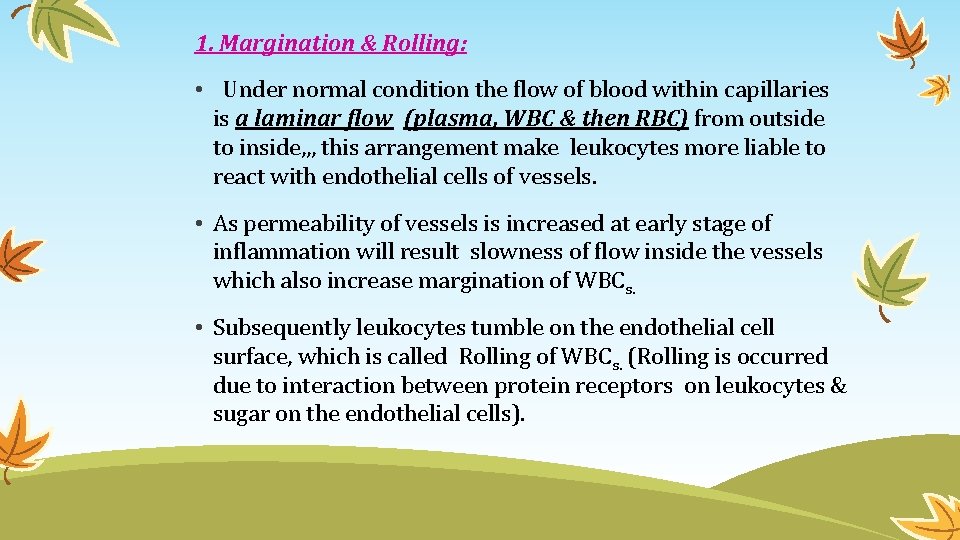 1. Margination & Rolling: • Under normal condition the flow of blood within capillaries