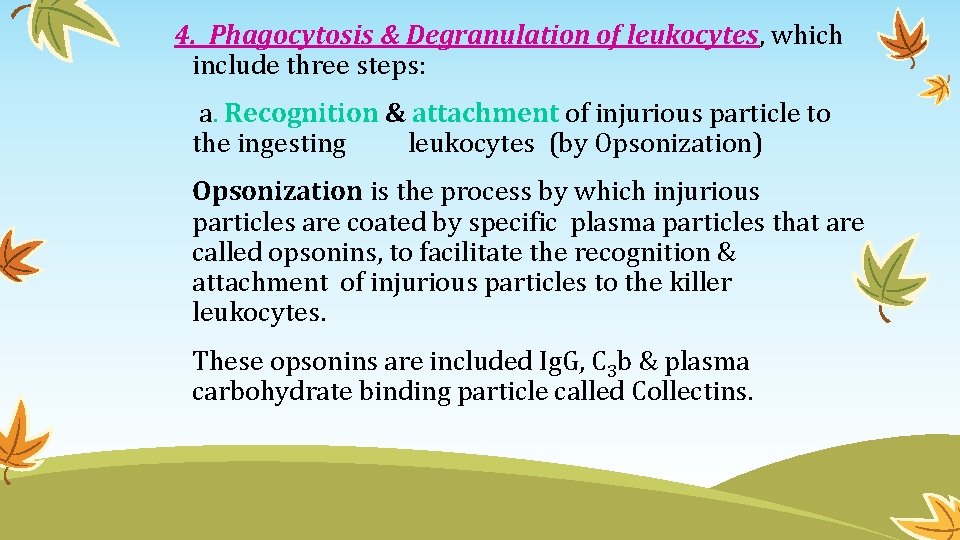 4. Phagocytosis & Degranulation of leukocytes, which include three steps: a. Recognition & attachment