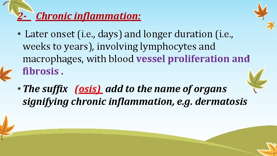 2 - Chronic inflammation: • Later onset (i. e. , days) and longer duration