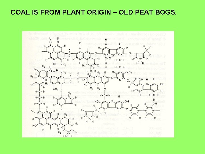 COAL IS FROM PLANT ORIGIN – OLD PEAT BOGS. 