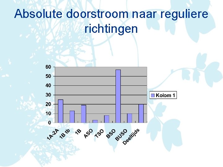 Absolute doorstroom naar reguliere richtingen 