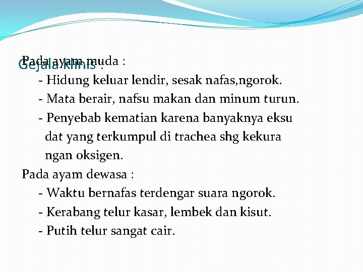 Pada ayam muda Gejala klinis : : - Hidung keluar lendir, sesak nafas, ngorok.