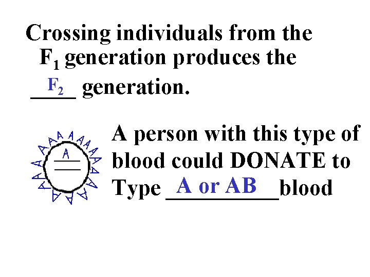 Crossing individuals from the F 1 generation produces the F 2 generation. ____ A