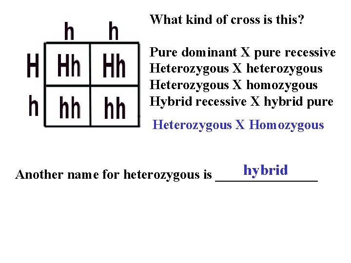 What kind of cross is this? Pure dominant X pure recessive Heterozygous X heterozygous