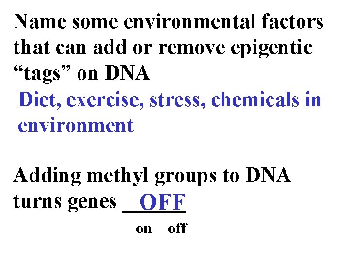 Name some environmental factors that can add or remove epigentic “tags” on DNA Diet,