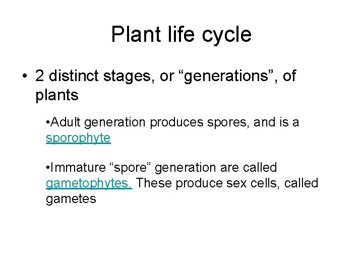 Plant life cycle • 2 distinct stages, or “generations”, of plants • Adult generation