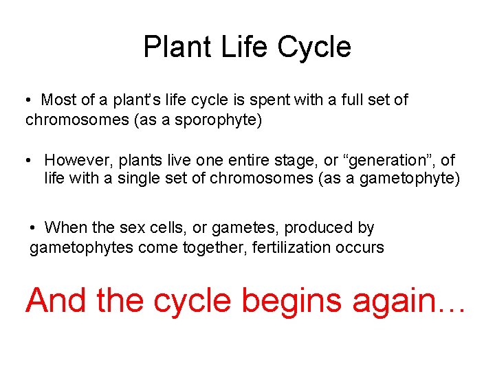 Plant Life Cycle • Most of a plant’s life cycle is spent with a