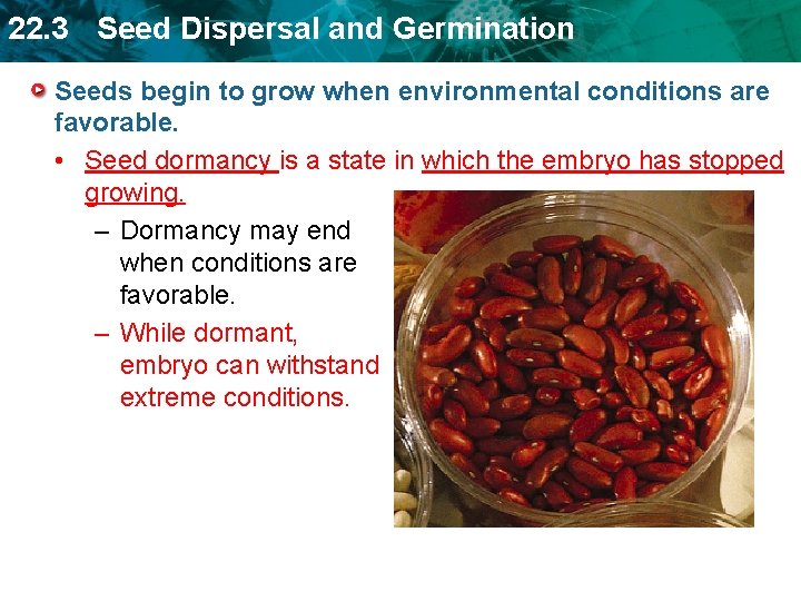 22. 3 Seed Dispersal and Germination Seeds begin to grow when environmental conditions are