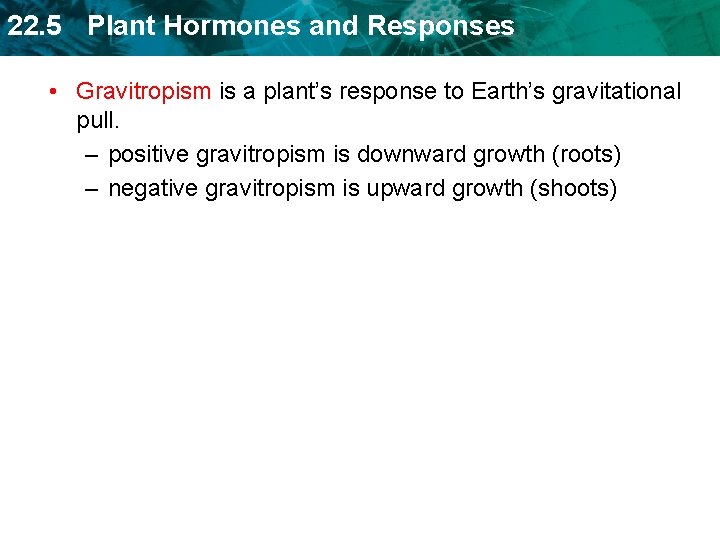 22. 5 Plant Hormones and Responses • Gravitropism is a plant’s response to Earth’s