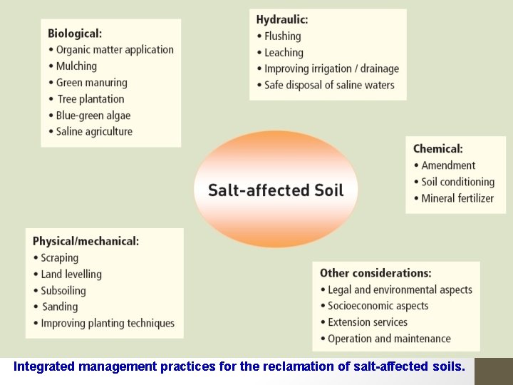 Integrated management practices for the reclamation of salt-affected soils. 