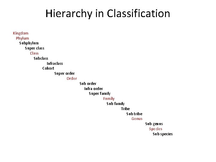 Hierarchy in Classification Kingdom Phylum Subphylum Super class Class Subclass Infraclass Cohort Super order