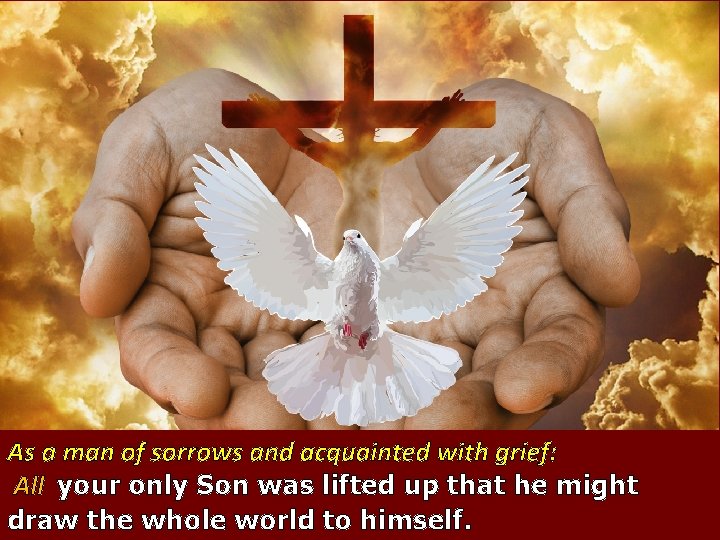 As a man of sorrows and acquainted with grief: All your only Son was