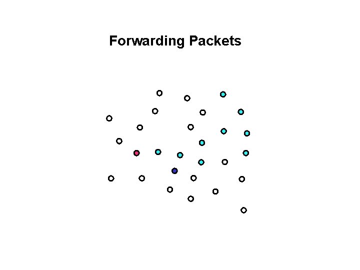 Forwarding Packets 