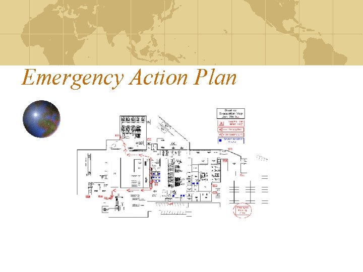 Emergency Action Plan 