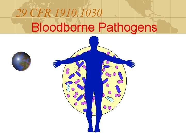 29 CFR 1910. 1030 Bloodborne Pathogens 