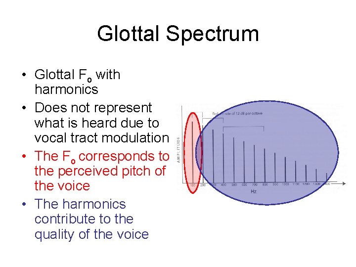 Glottal Spectrum • Glottal Fo with harmonics • Does not represent what is heard