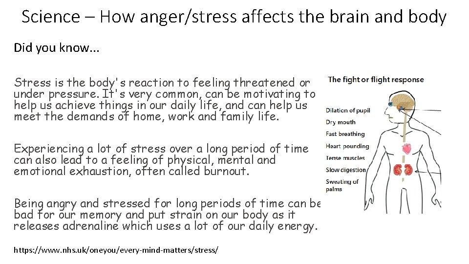 Science – How anger/stress affects the brain and body Did you know. . .