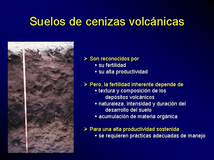 Suelos de cenizas volcánicas Ø Son reconocidos por § su fertilidad § su alta
