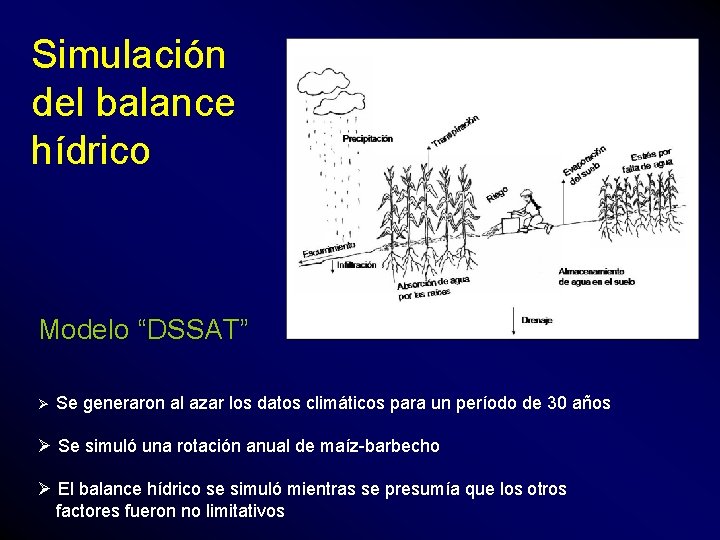 Simulación del balance hídrico Modelo “DSSAT” Ø Se generaron al azar los datos climáticos