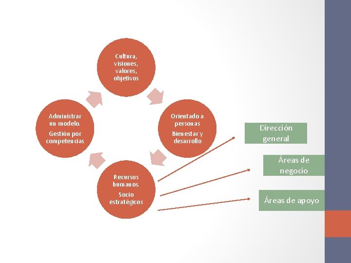 Cultura, visiones, valores, objetivos Administrar un modelo. Orientado a personas Gestión por competencias Bienestar