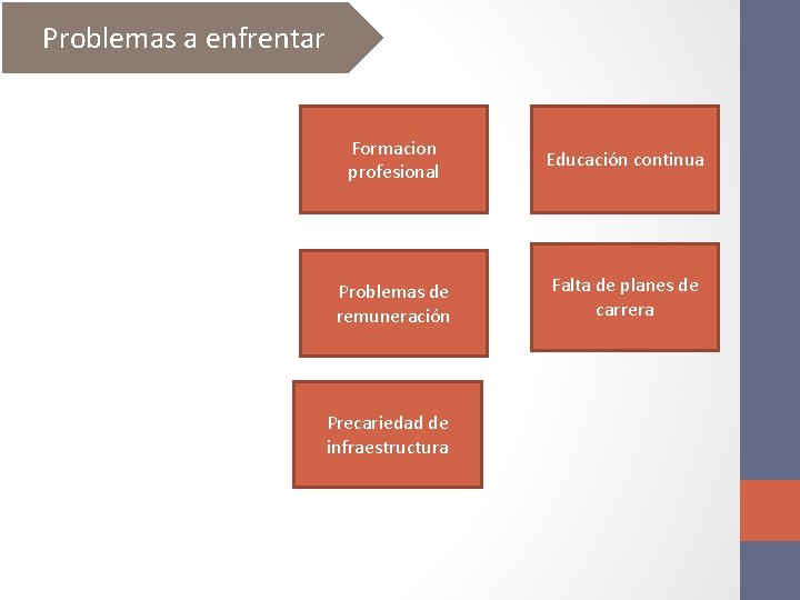 Problemas a enfrentar Formacion profesional Educación continua Problemas de remuneración Falta de planes de